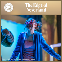 Load image into Gallery viewer, The Edge of Neverland
