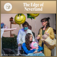 Load image into Gallery viewer, The Edge of Neverland
