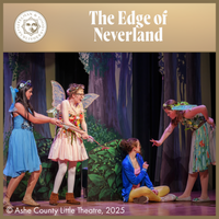 Load image into Gallery viewer, The Edge of Neverland
