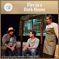 Load image into Gallery viewer, Fire in a Dark House
