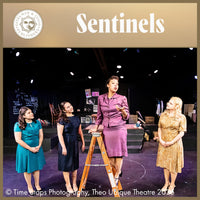 Load image into Gallery viewer, Sentinels
