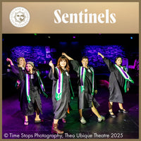 Load image into Gallery viewer, Sentinels
