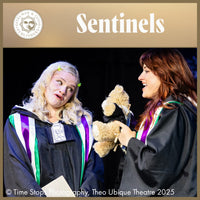 Load image into Gallery viewer, Sentinels
