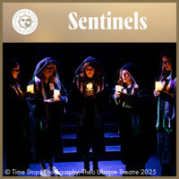 Load image into Gallery viewer, Sentinels
