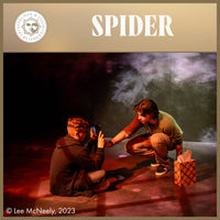Load image into Gallery viewer, SPIDER
