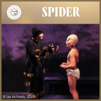 Load image into Gallery viewer, SPIDER
