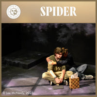 Load image into Gallery viewer, SPIDER
