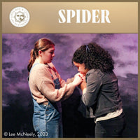 Load image into Gallery viewer, SPIDER
