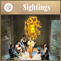 Load image into Gallery viewer, Sightings
