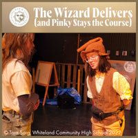 Load image into Gallery viewer, The Wizard Delivers (and Pinky Stays the Course)
